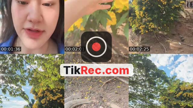 @g_khajeerat TikTok live from 2026-10-11