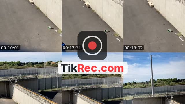 @loupblanc555 France TikTok live from 2026-10-11