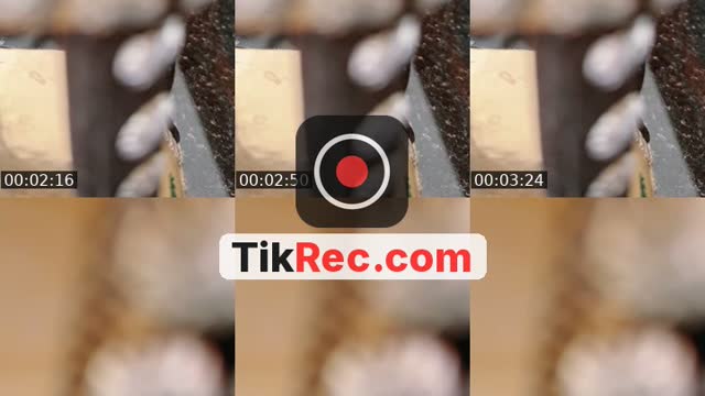 @la.90807060 Saudi Arabia TikTok live from 2026-10-11