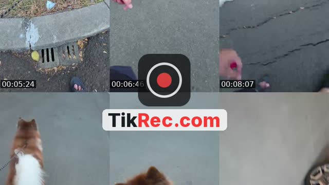TikTok live: jalan ama ciko by @babonkingrp