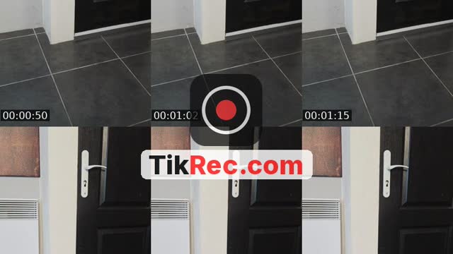 TikTok live: mode coq 🐓! by @seb40475