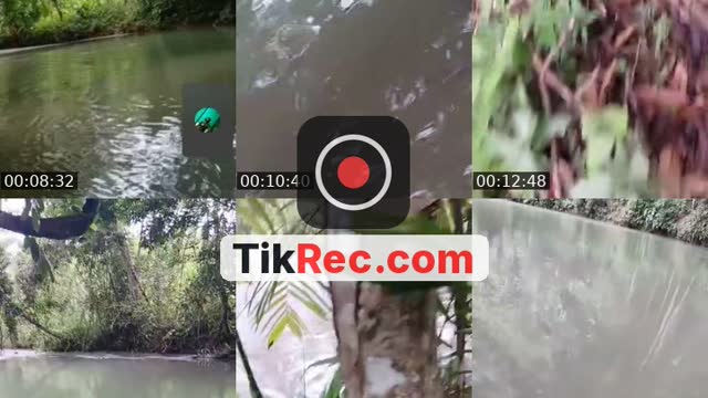 @walter.cucul.coc TikTok live from 2026-10-11