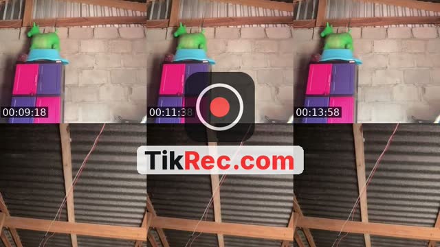 @lahormiga315 TikTok live from 2026-10-11