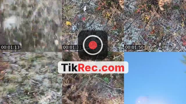@cash_editz04 TikTok live