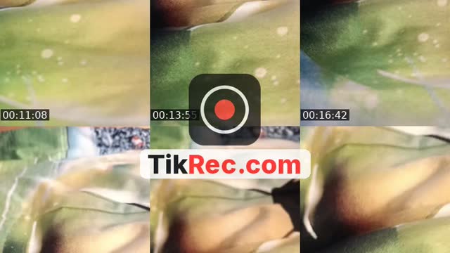 TikTok live: Jedna růže jedna sklapovačka by @domec402