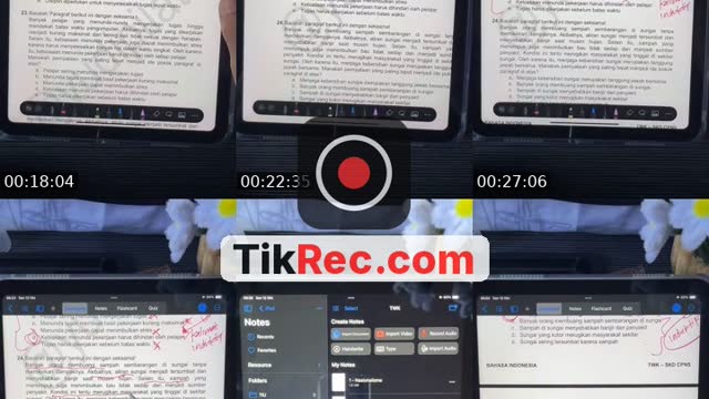 @yudipilato TikTok live from 2026-10-12