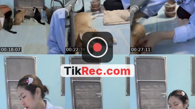 @tuazorfamily TikTok live from 2026-10-12