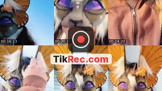 @foxtrotx32 TikTok live from 2026-10-12