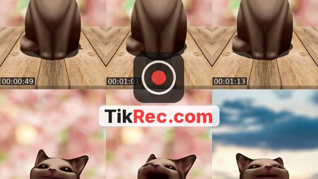 @borja.miguez.fern8 TikTok live from 2026-10-12