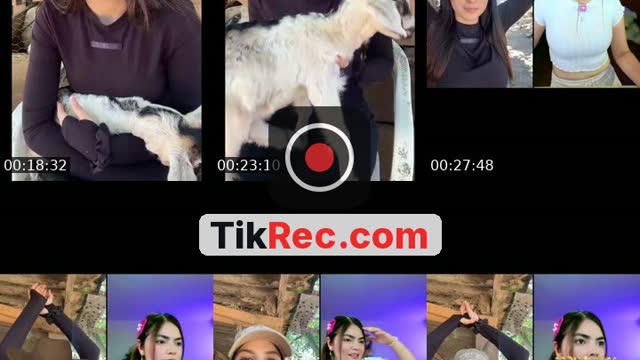 TikTok live: Tortilla by @betzy2m