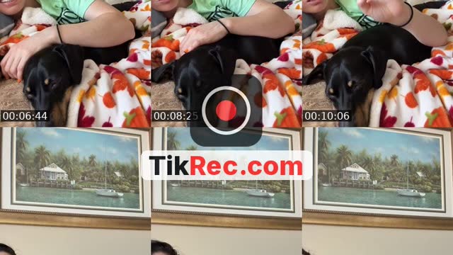 @smileandshopp TikTok live from 2026-10-12
