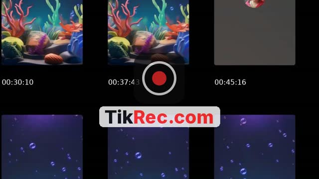 @barbora.f.0710 TikTok live