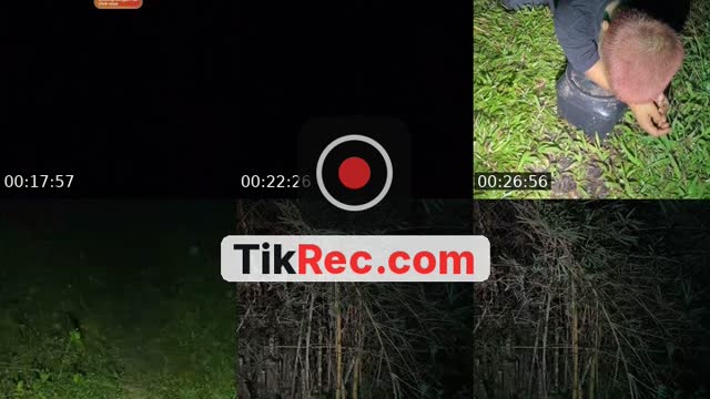 TikTok live: BAMBU LONJONG by @udinjoni87