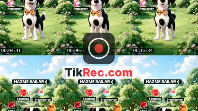 TikTok live: Hazme bailar :) by @evelyntr06