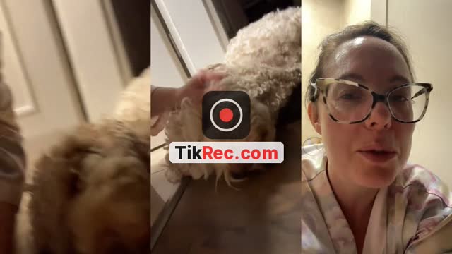 @djalisolutions TikTok live