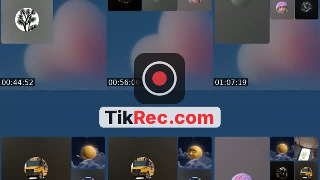 @queen_of_palestine TikTok live from 2026-10-14