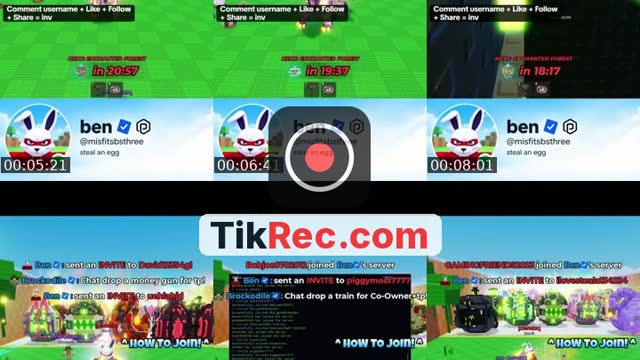 TikTok live: STEAL AN EGG by @rogifter