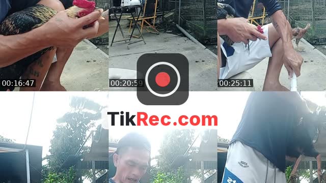@kh.nguyn133 TikTok live from 2026-10-15