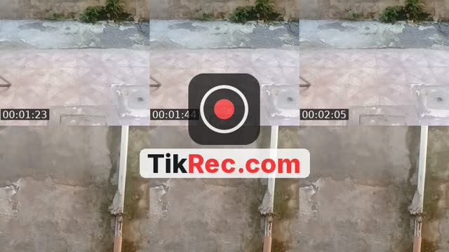 @ritapetrosino TikTok live