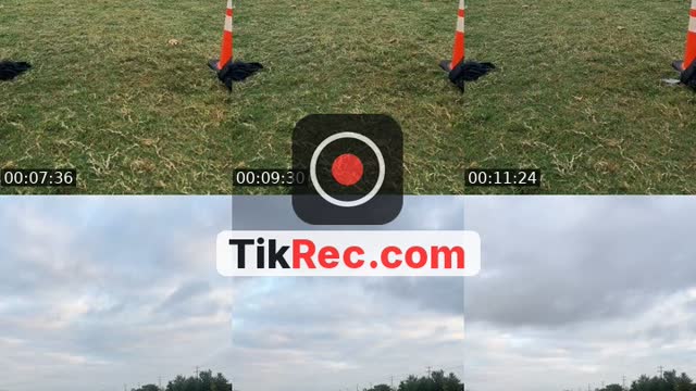 TikTok live: Wednesday sprints day 💪🏽😈 by @kingwilliamsbackup