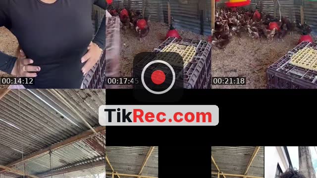 @sofiramirez.15 TikTok live from 2026-10-14