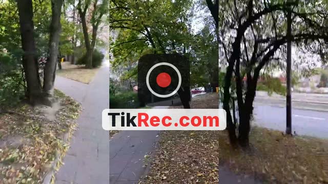 @klaudita.vibe TikTok live