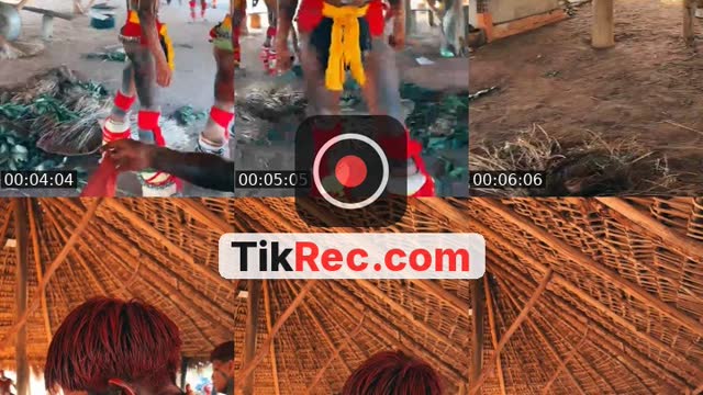 @yanoh09 TikTok live from 2026-10-14