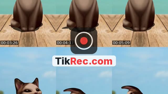 @borja.miguez.fern8 TikTok live from 2026-10-14