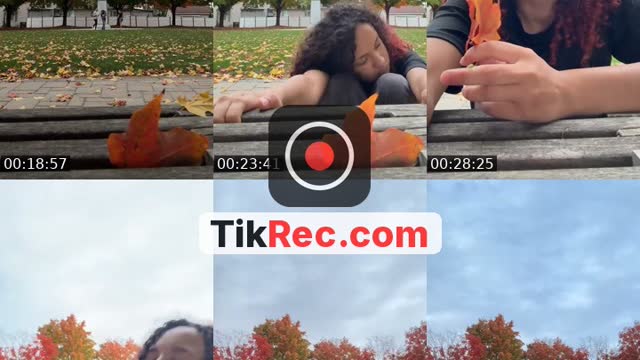 TikTok live: Acting like we stupid by @holly.laxa