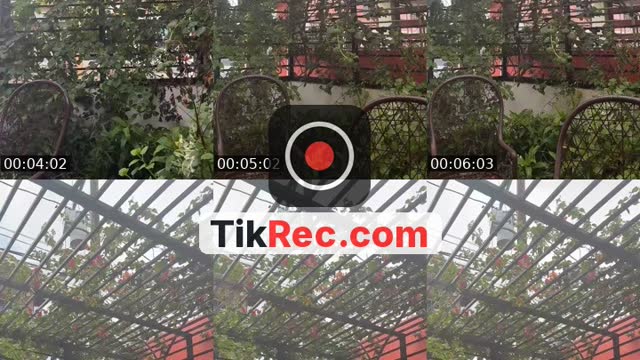 @lakromorina TikTok live from 2026-10-15