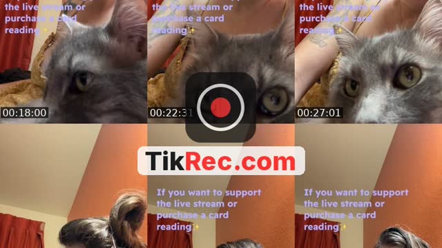 @coffeelovekt TikTok live from 2026-10-15