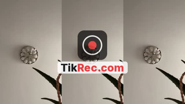 @ryma.tadj TikTok live