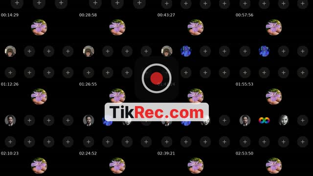 @n_a_t_a_l_i_a_____2 Russia TikTok live from 2026-10-15