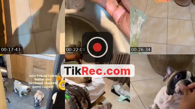 @ibusambung TikTok live from 2026-10-15