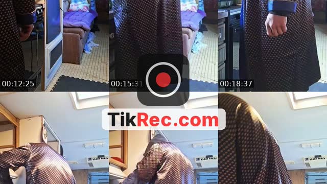 @animalsplay TikTok live from 2026-10-15