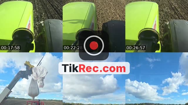 TikTok live: Sowing Beans by @farmerhedley