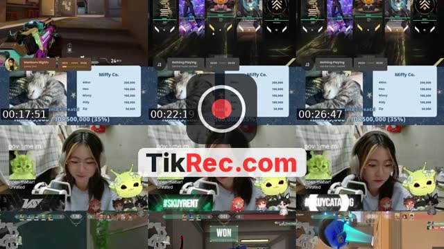 @dear_miffy TikTok live from 2026-10-16