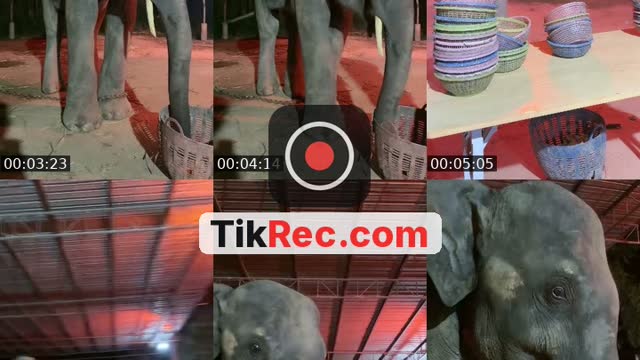 @cream_449900 TikTok live