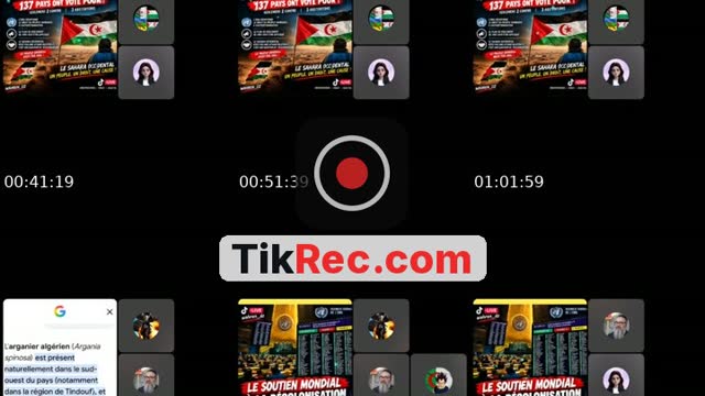 @wahren_dz TikTok live
