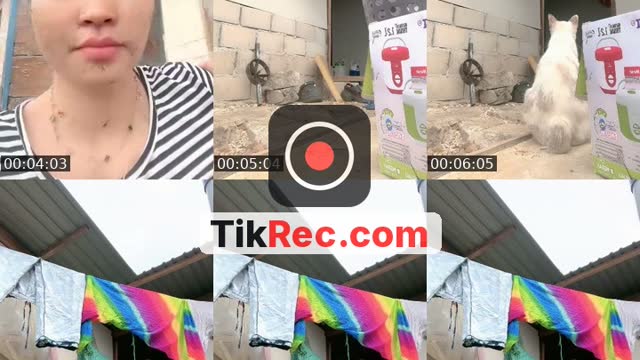 @neapanda08 TikTok live