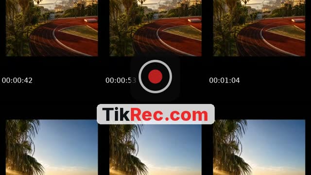 @ledictateurdz TikTok live