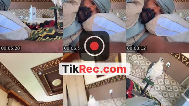 @ghisham9 TikTok live