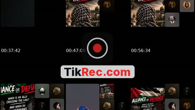 @palib28 TikTok live from 2026-10-17