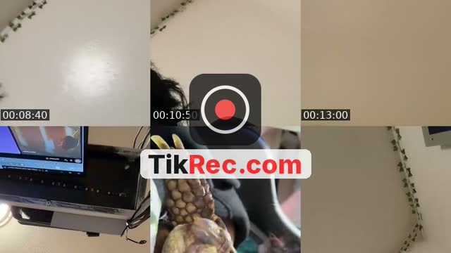 @babidrac00 TikTok live from 2026-10-17