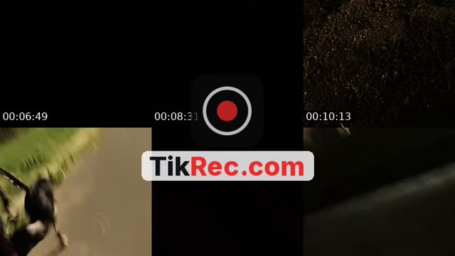 @lanature1820 TikTok live