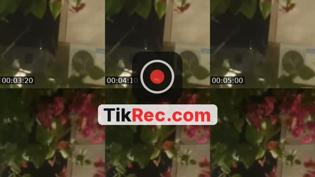 @dfe3.jad TikTok live