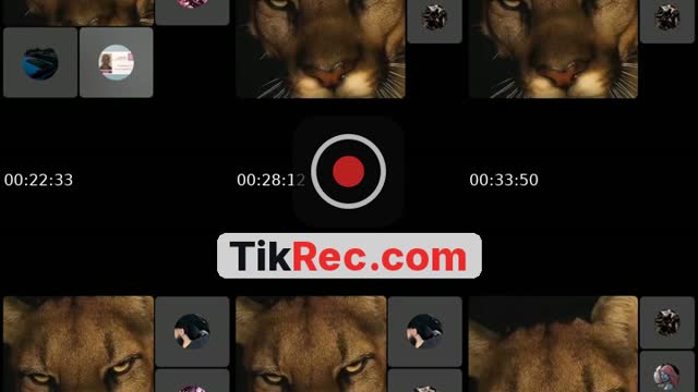 TikTok live: not a hamleh live 👼🏼 by @rugrat.911