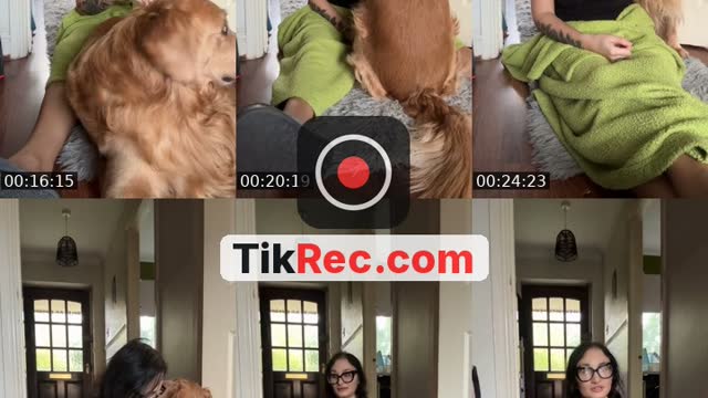 @ottox500 TikTok live from 2026-10-17
