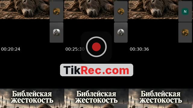 Академика - @academic_lens