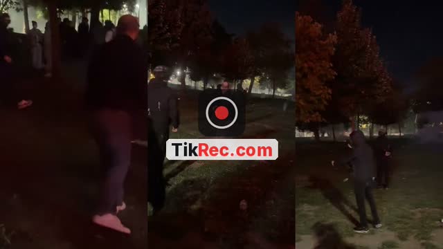 @learnalb TikTok live